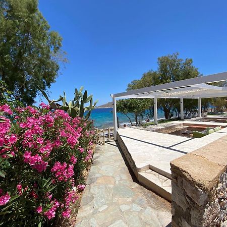 Villa Aristoteles Chalki Town Exterior photo